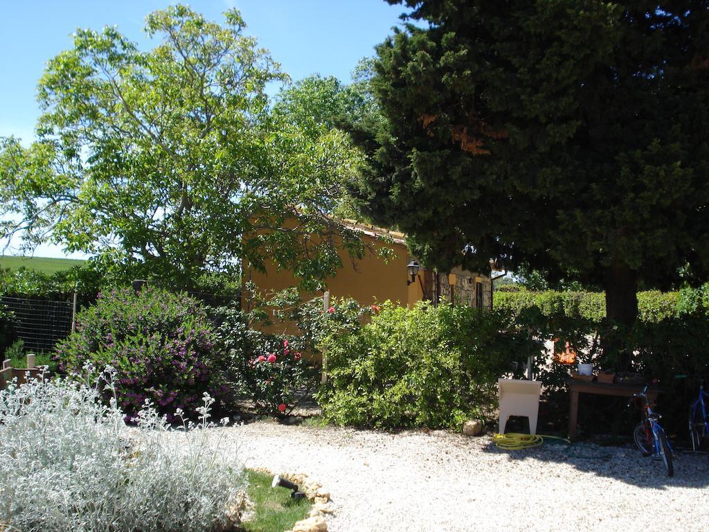 Casale Dinelli Tarquinia Quarto foto