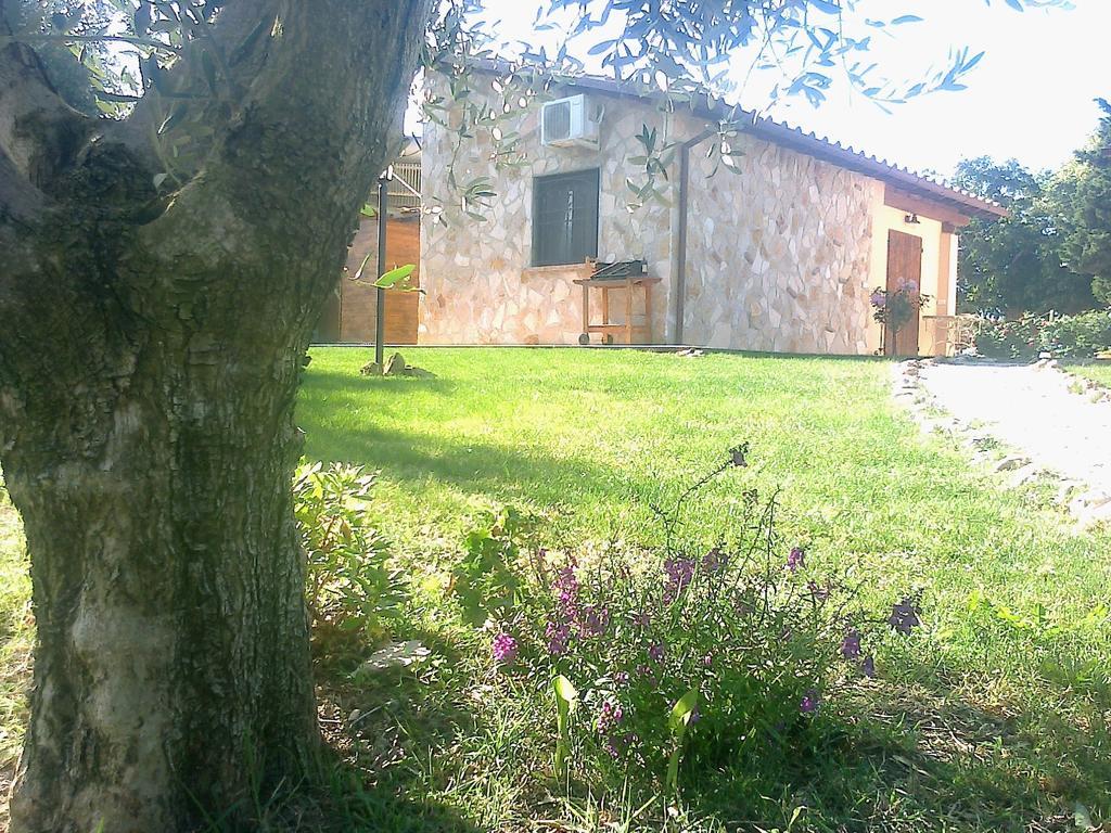 Casale Dinelli Tarquinia Quarto foto