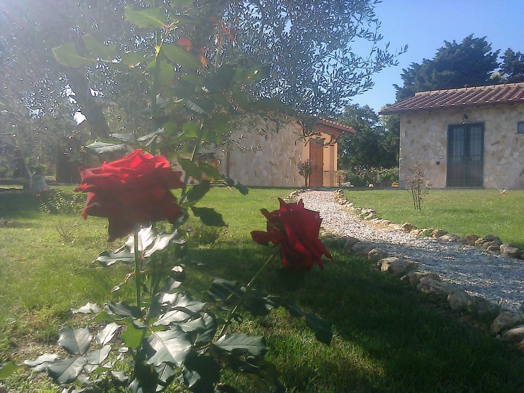 Casale Dinelli Tarquinia Quarto foto