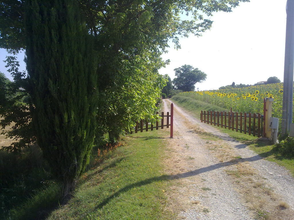 Casale Dinelli Tarquinia Exterior foto