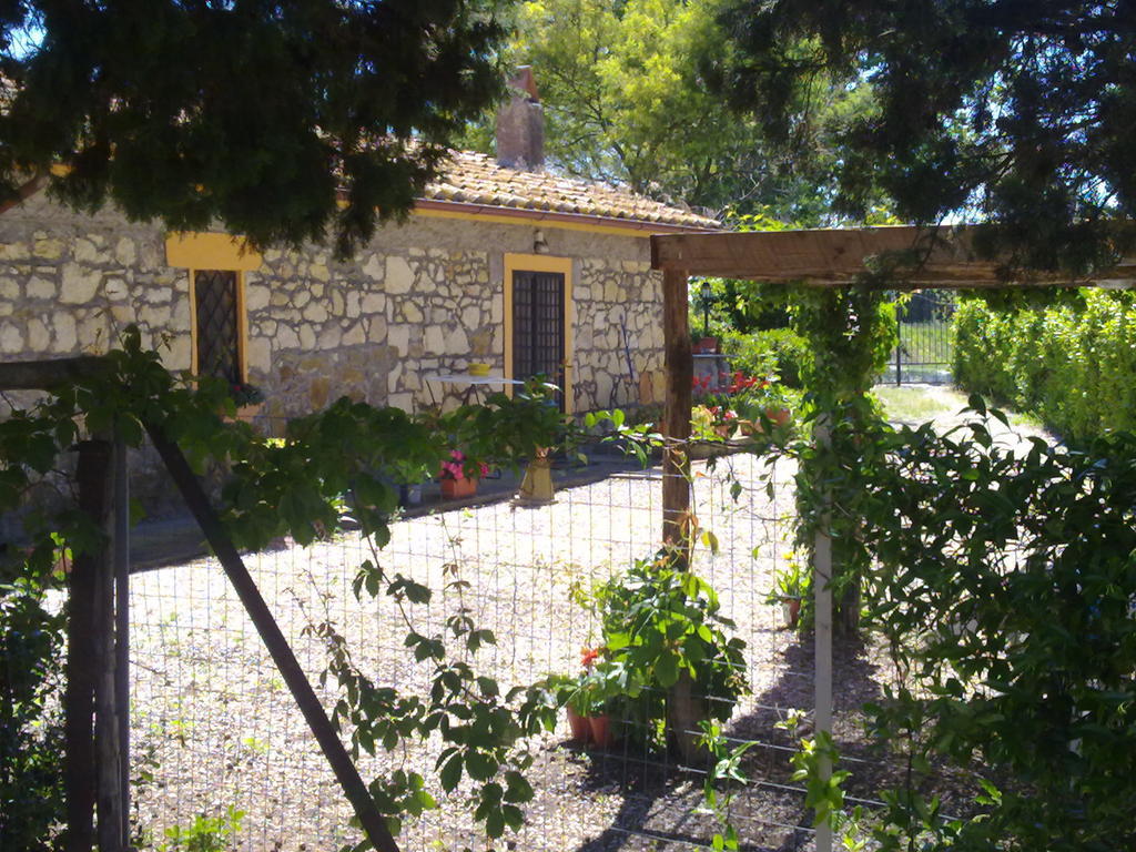 Casale Dinelli Tarquinia Quarto foto