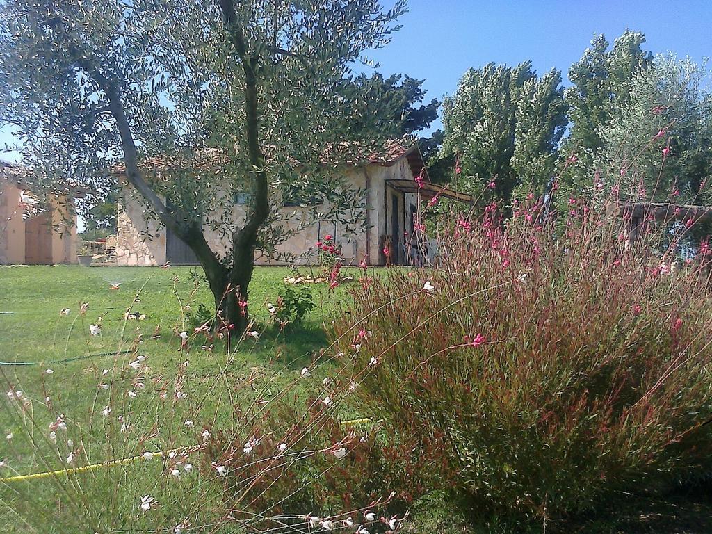 Casale Dinelli Tarquinia Quarto foto